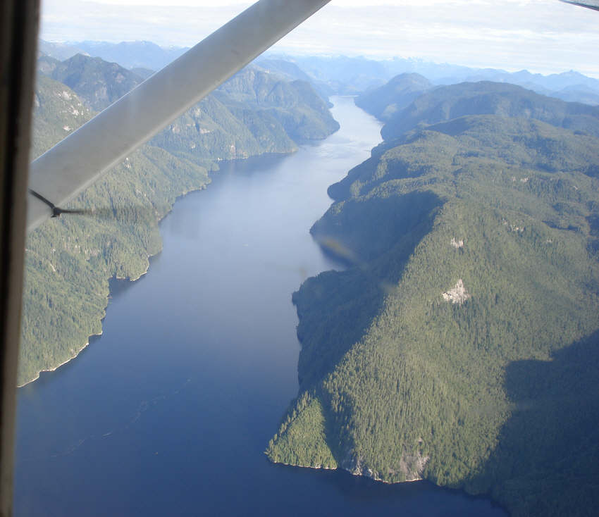 Aerial View of Great Bear Forest 