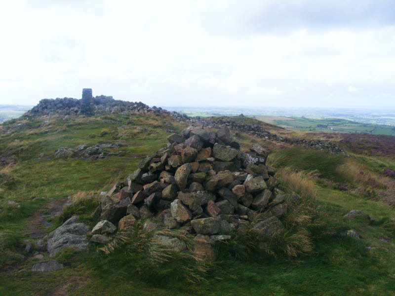 The Summit of Binsey