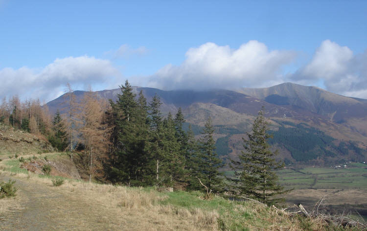 Skiddaw