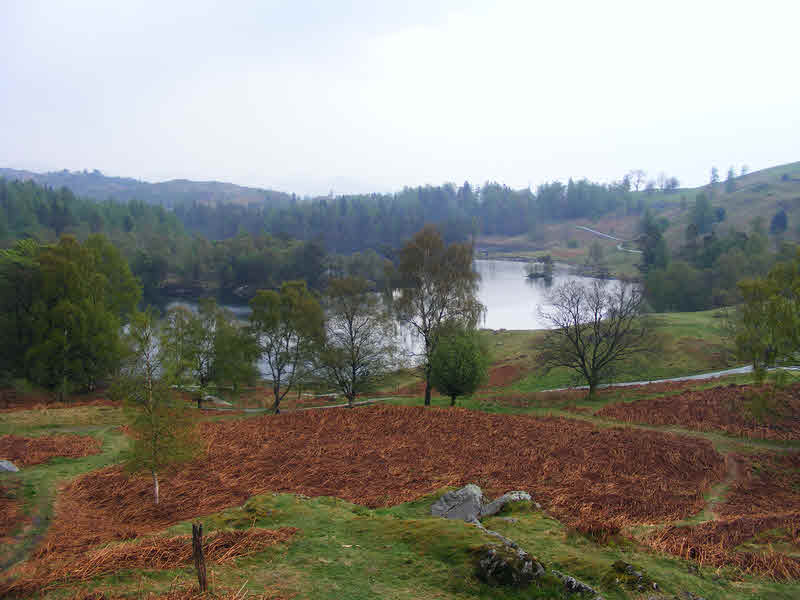 Tarn Hows in the Autumn 