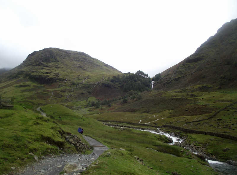 Taylor Force and Base Brown 