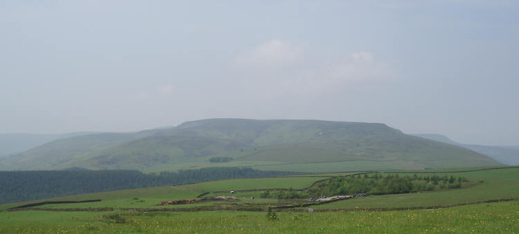 Kinder from the East