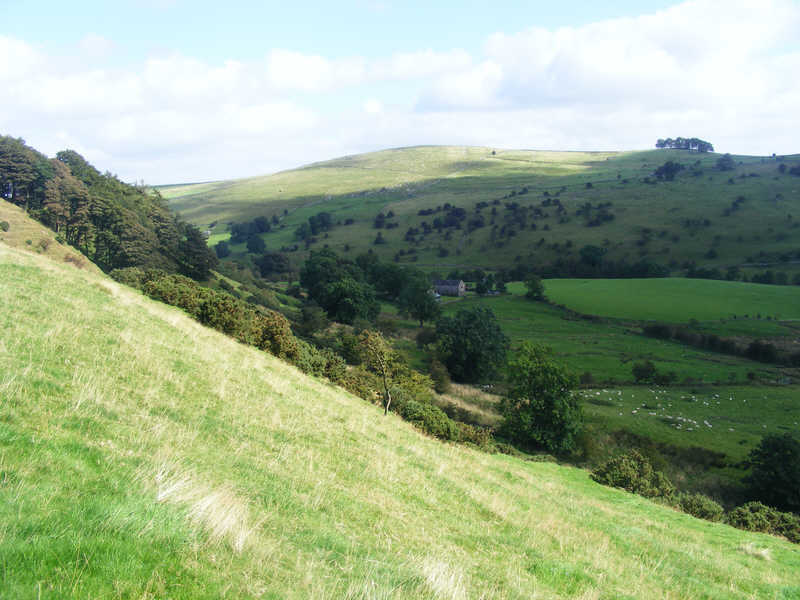 Dove Valley near Hartington